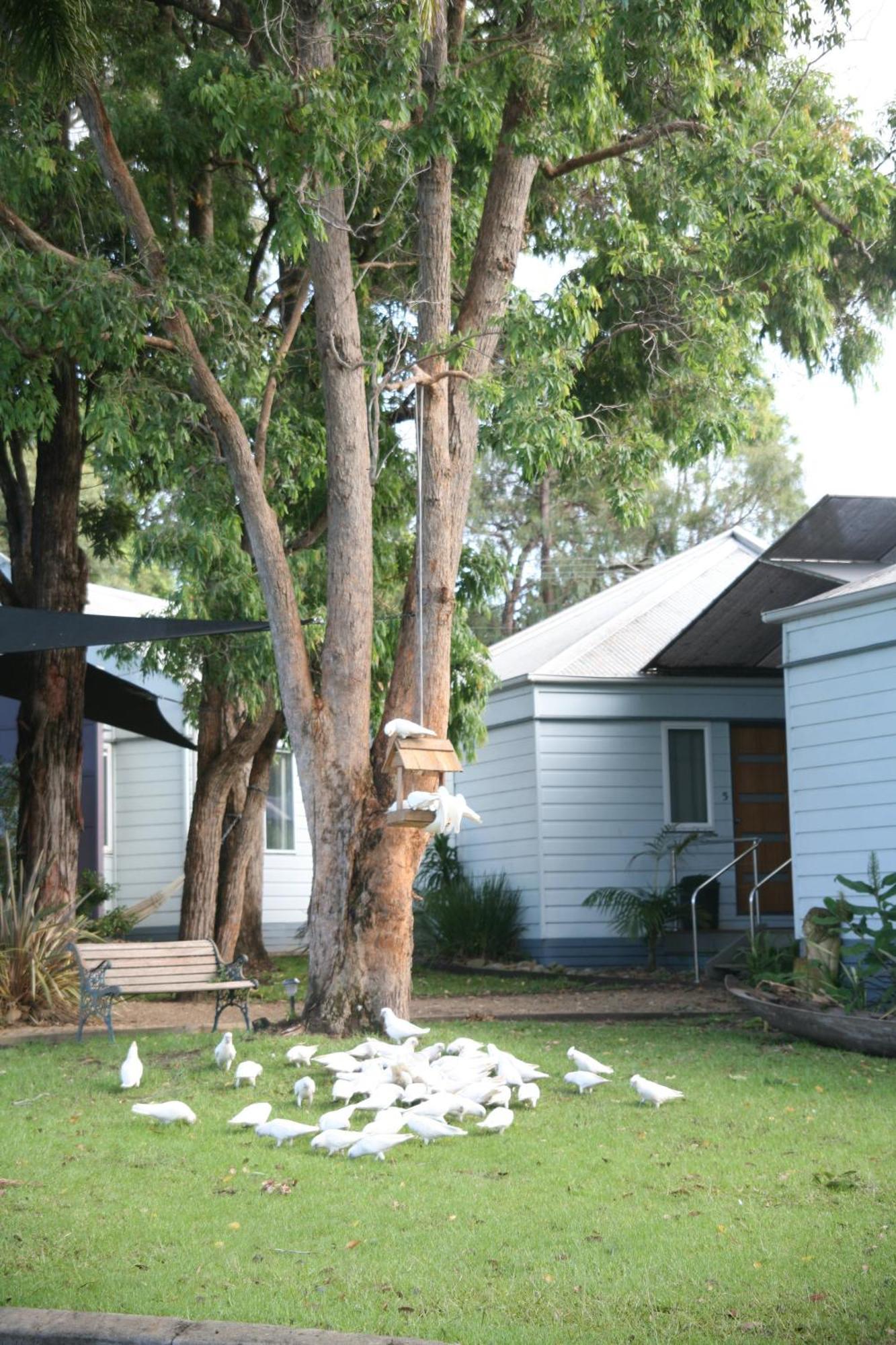 Huskisson Holiday Motel Cabins Jervis Bay Экстерьер фото