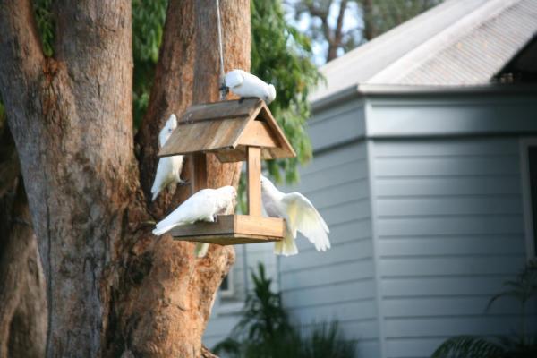 Huskisson Holiday Motel Cabins Jervis Bay Экстерьер фото